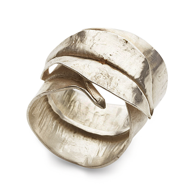 Eternal Twist Duo | Silver Ring